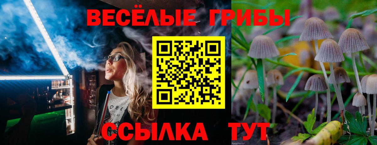 Галлюциногенные грибы GOLDEN TEACHER Химки