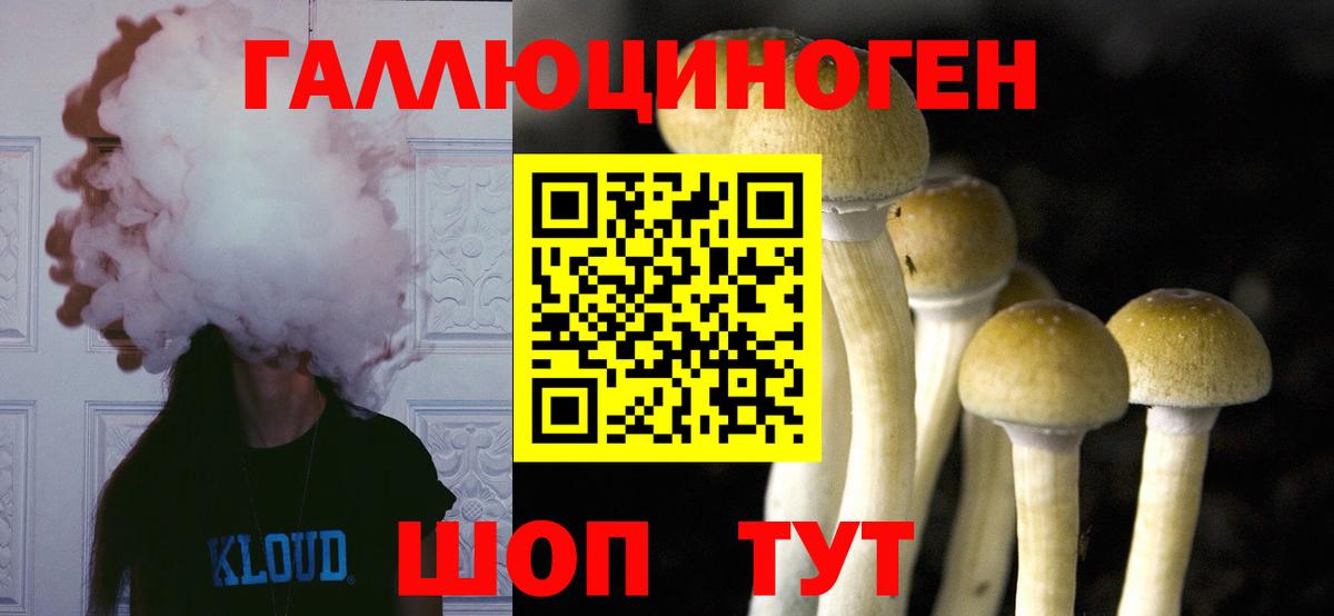 Псилоцибиновые грибы Cubensis  Псилоцибиновые грибы прущие грибы  Вход с VPN  Химки 