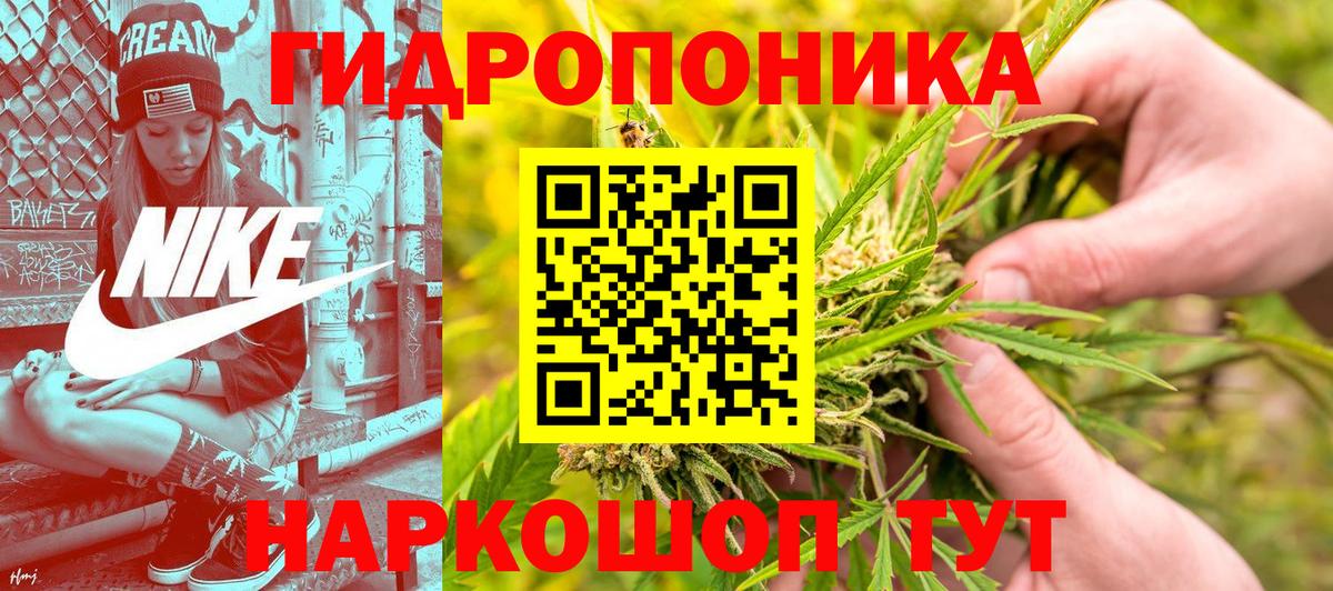 Каннабис Bruce Banner  Бошки марихуана планчик  Вход с VPN  Химки  Бошки марихуана тримм 